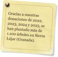 Gracias a nuestras donaciones de 2022, 2023, 2024 y 2025, se han plantado m�s de 1.100 �rboles en Sierra L�jar (Granada).